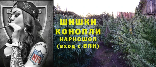 apvp Аркадак