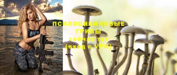 дурь Армянск