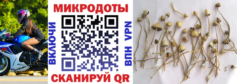 Галлюциногенные грибы Psilocybine cubensis  Боготол 