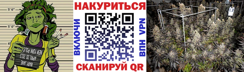 Каннабис план Боготол